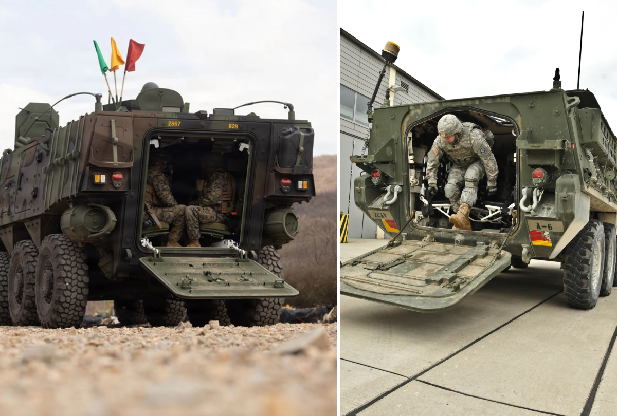 DB_collage_017 (1).png